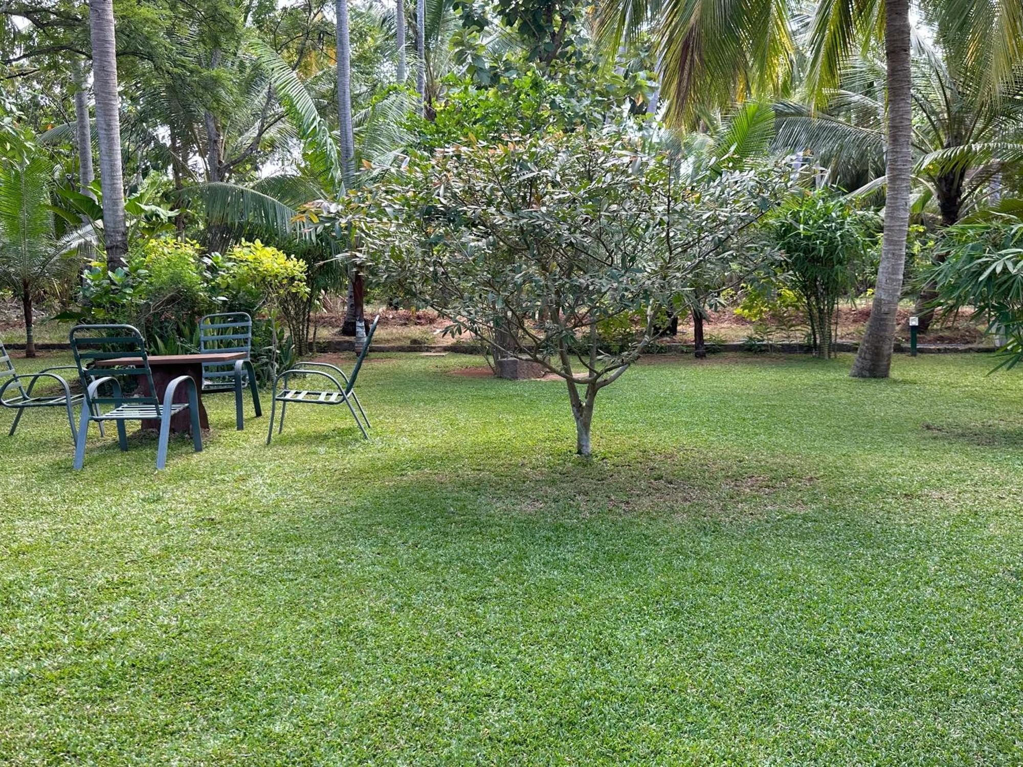 Hotel Heladiv Anuradhapura Bagian luar foto